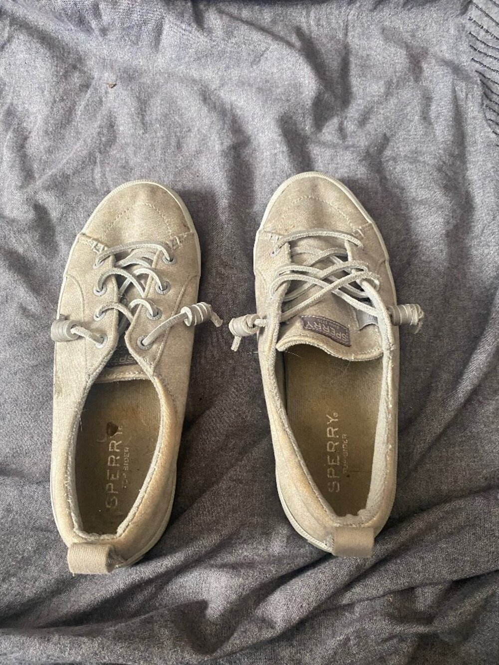 Sperry Gray Canvas Sneakers
